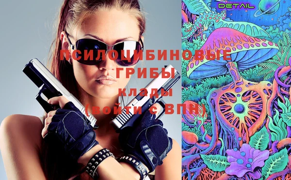 крисы Нея