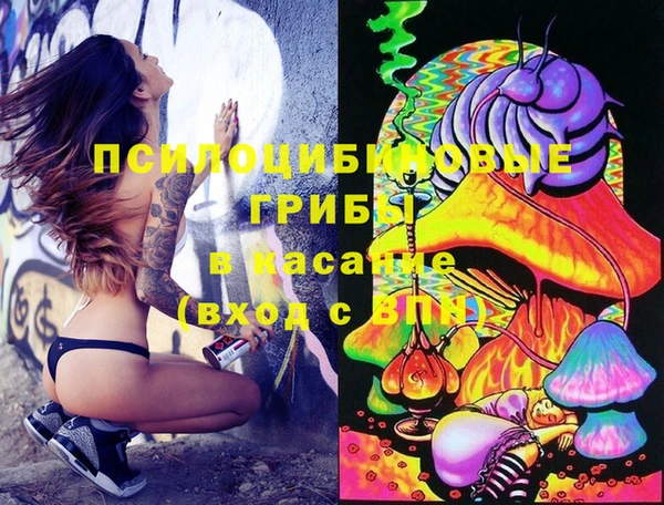 крисы Нея