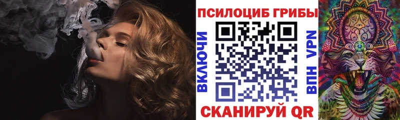 где можно купить   Углегорск  Псилоцибиновые грибы Magic Shrooms 